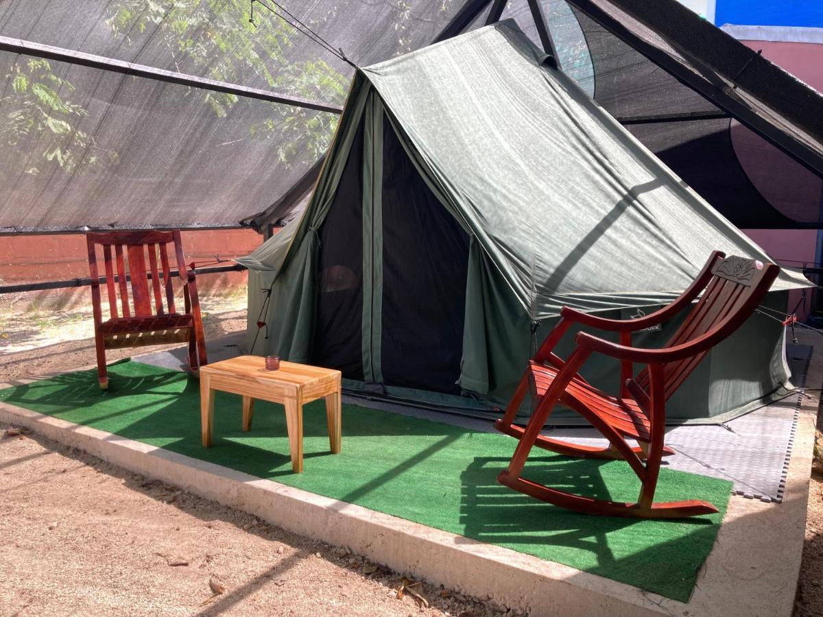 Tamahostel & Glamping تاماريندو المظهر الخارجي الصورة