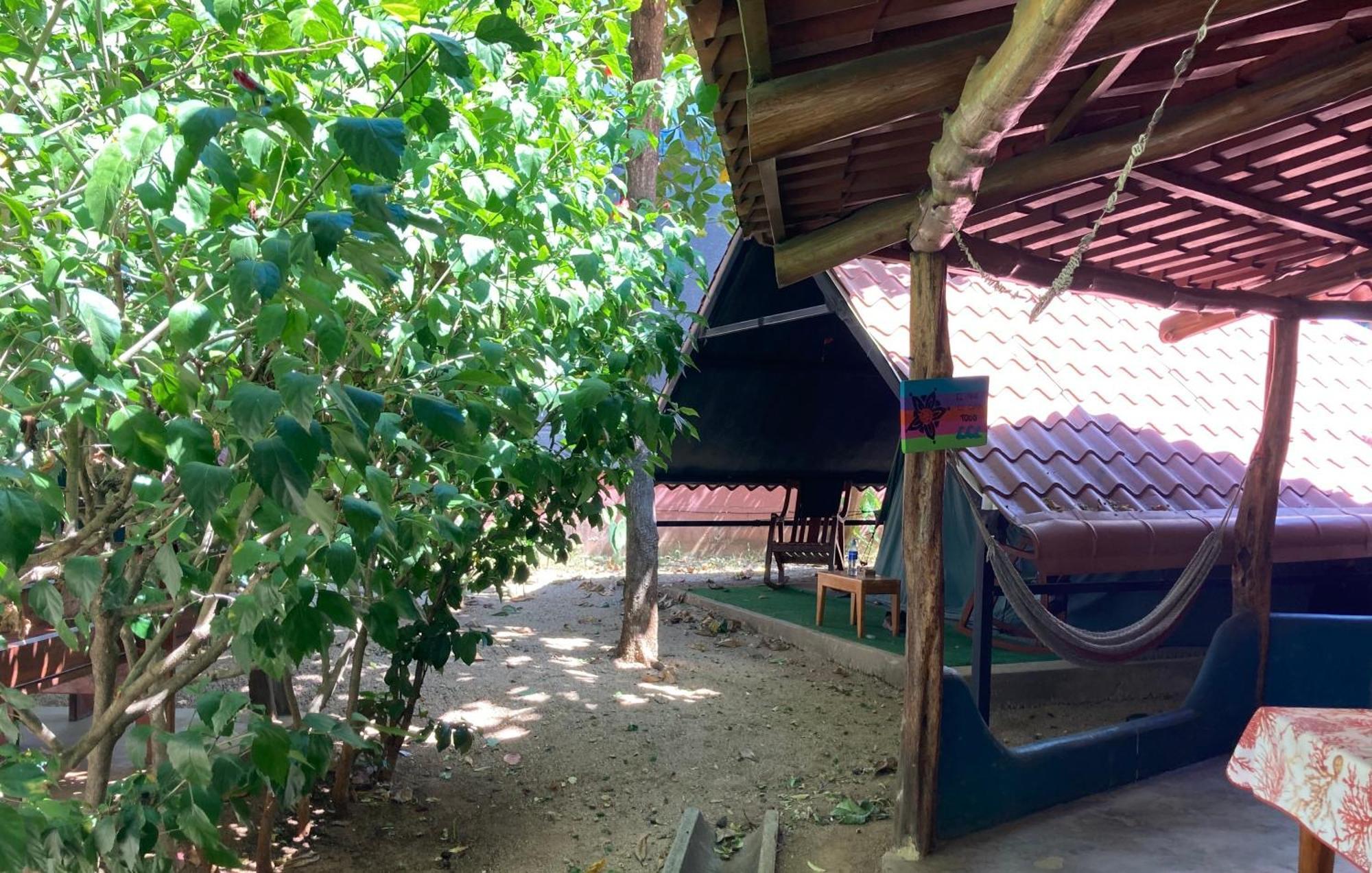 Tamahostel & Glamping تاماريندو المظهر الخارجي الصورة