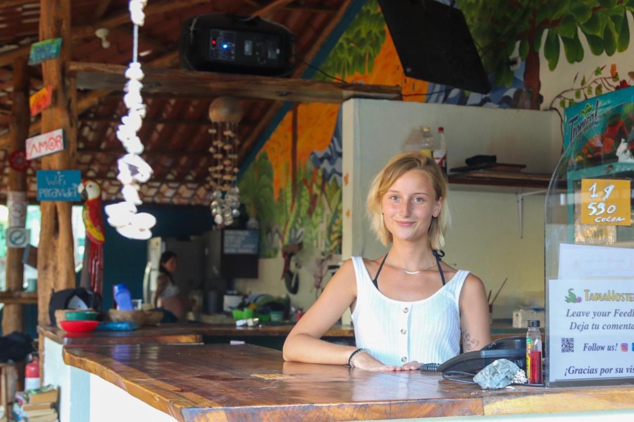 Tamahostel & Glamping تاماريندو المظهر الخارجي الصورة