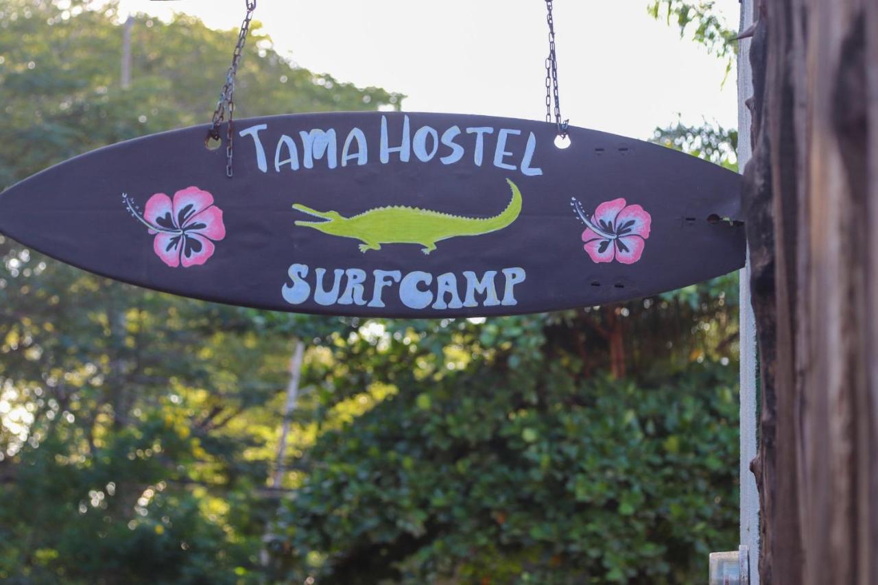 Tamahostel & Glamping تاماريندو المظهر الخارجي الصورة